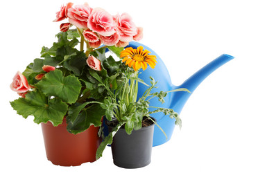 Similar image 2751518