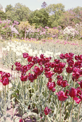 Similar image 2751519