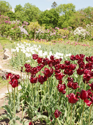 Similar image 2751522