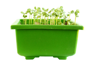 Similar image 2751650