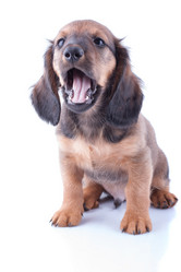 Similar image 2752940