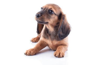 Similar image 2752943