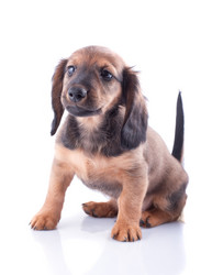 Similar image 2752945