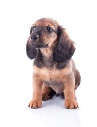 Similar image 2752946