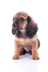 Similar image 2752947