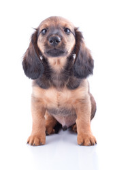 Similar image 2752948