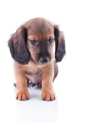 Similar image 2752949