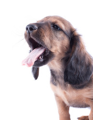 Similar image 2752950