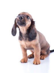 Similar image 2752952