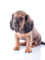 Similar image 2752953