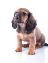 Similar image 2752955