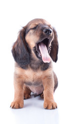 Similar image 2752957