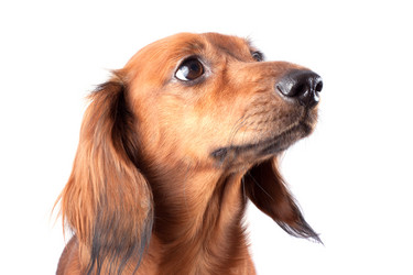 Similar image 2753012