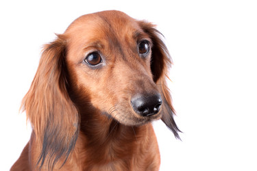 Similar image 2753013