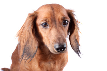 Similar image 2753014