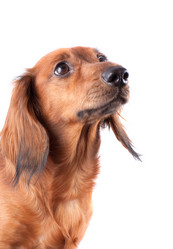 Similar image 2753015