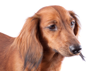 Similar image 2753016