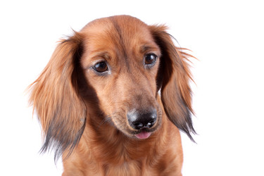 Similar image 2753019