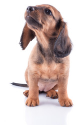 Similar image 2753020