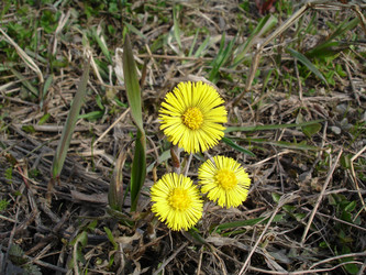 Similar image 2753662