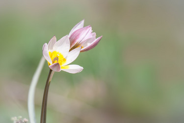 Similar image 2762285