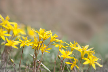 Similar image 2762286