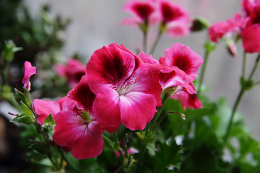 Similar image 2762292