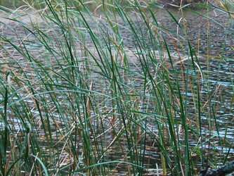 Similar image 2762393