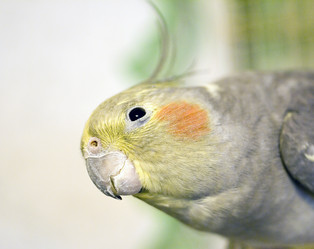 Similar image 2762905