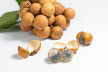 Similar image 2763656