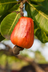 Similar image 2763657