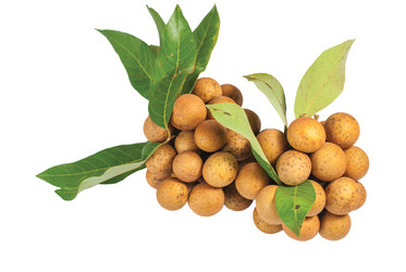 Similar image 2763662