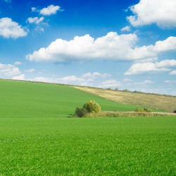 Similar image 2763806