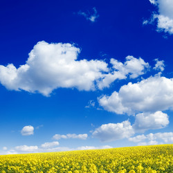 Similar image 2763817