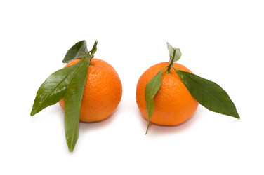 Similar image 2763897