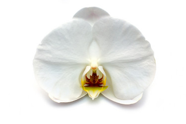 Similar image 2764153