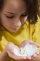 Similar image 2764204