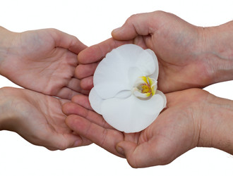 Similar image 2764259