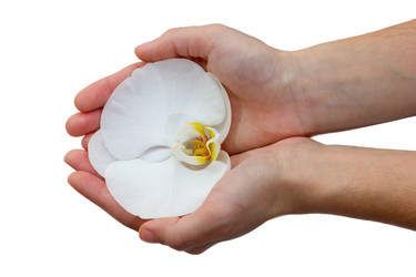 Similar image 2764272