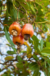 Similar image 2764314