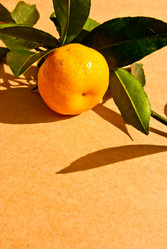 Similar image 2764315