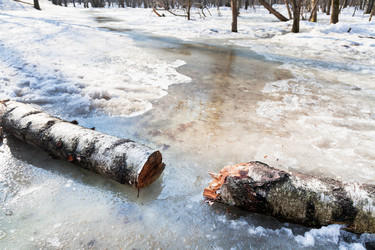 Similar image 2764538