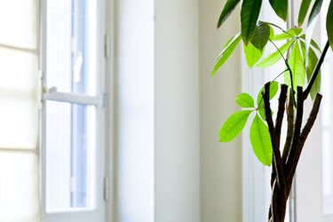 Similar image 2764542