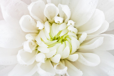 Similar image 2764674