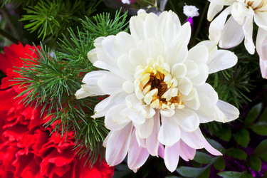 Similar image 2764679