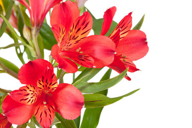 Similar image 2764974