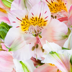 Similar image 2764977