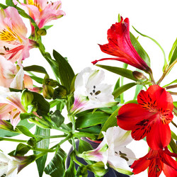 Similar image 2764980