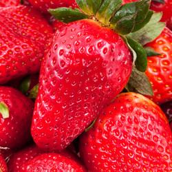 Similar image 2765017