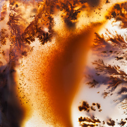 Similar image 2765025